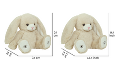Bun Bun Rabbit 9.4 Inch